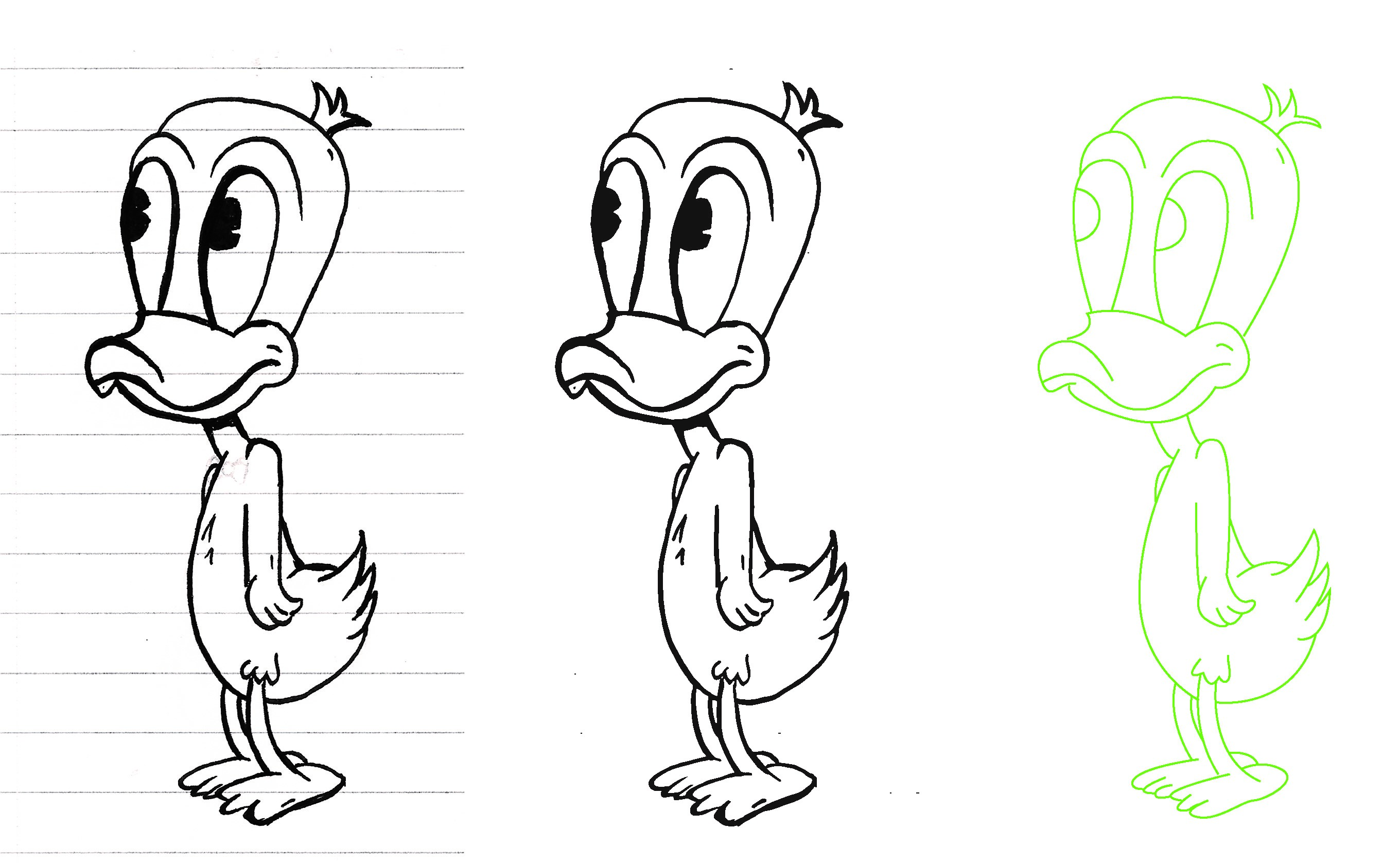 Duck Development